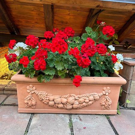 Villa Del Sole Valverde  외부 사진